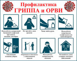 Профилактика гриппа и орви Профилактика гриппа и орви.