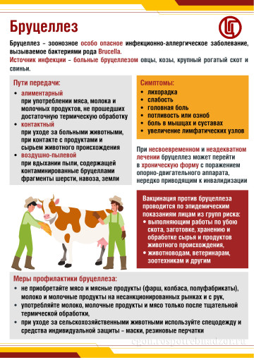 Профилактика бруцеллеза Профилактика бруцеллеза.